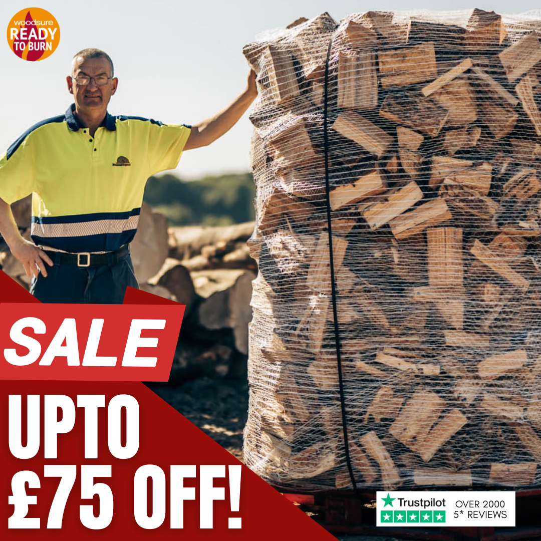 buy now (1080 x 1080 px) (6)