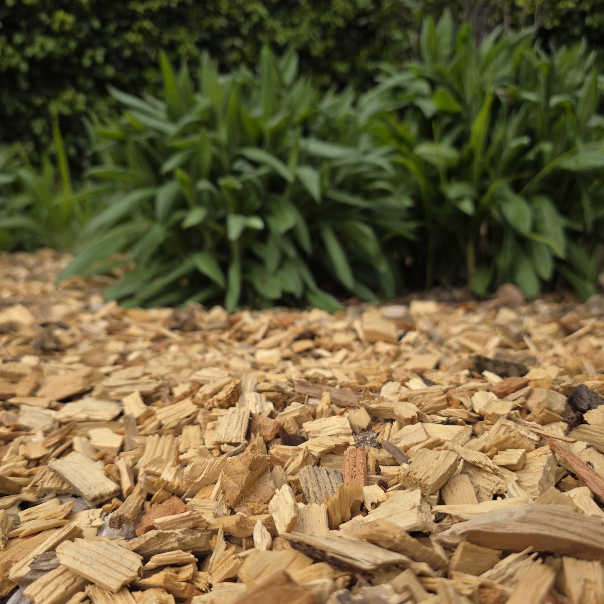 Woodchip bulk delivery